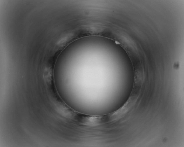 X0000101660184200807101303