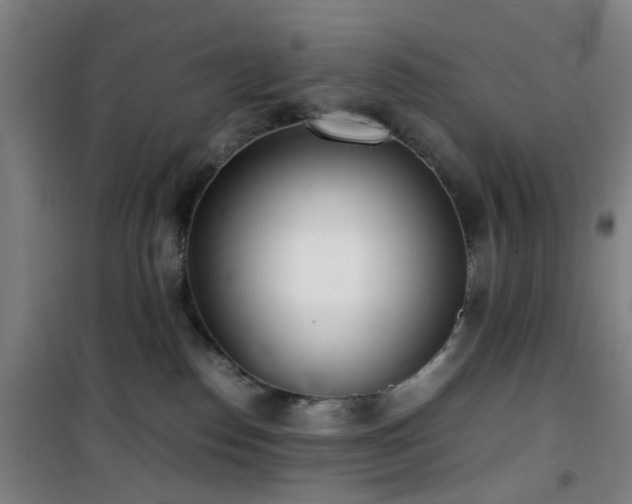 X0000101660186200807101303