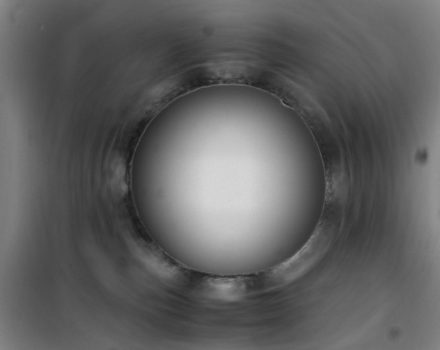 X0000101660187200807101303