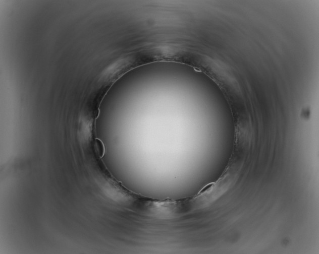 X0000101660188200807101303