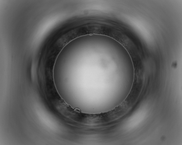 X0000101660189200807101303