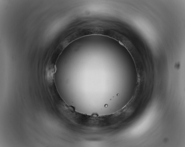 X0000101660190200807101303