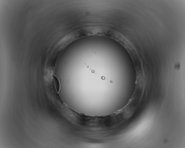 X0000101660191200807101303