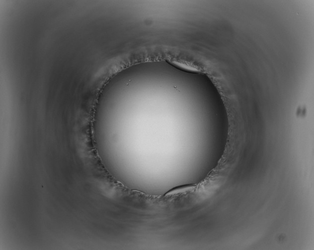 X0000101660192200807101303