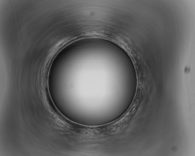 X0000101660193200807101302