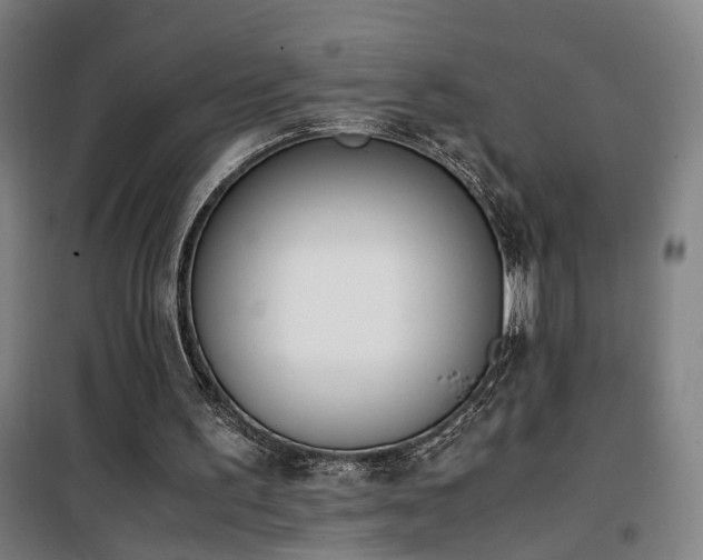 X0000101660195200807101302