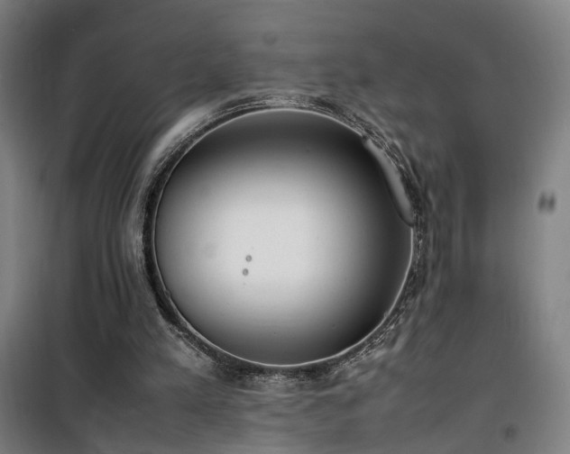 X0000101660197200807101302