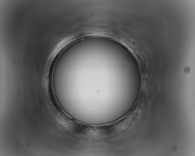 X0000101660199200807101302