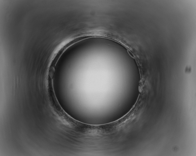 X0000101660200200807101302