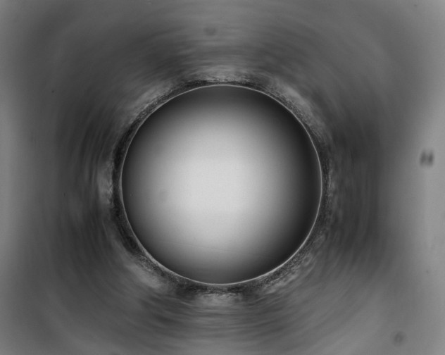 X0000101660202200807101302