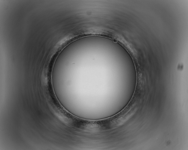 X0000101660203200807101302