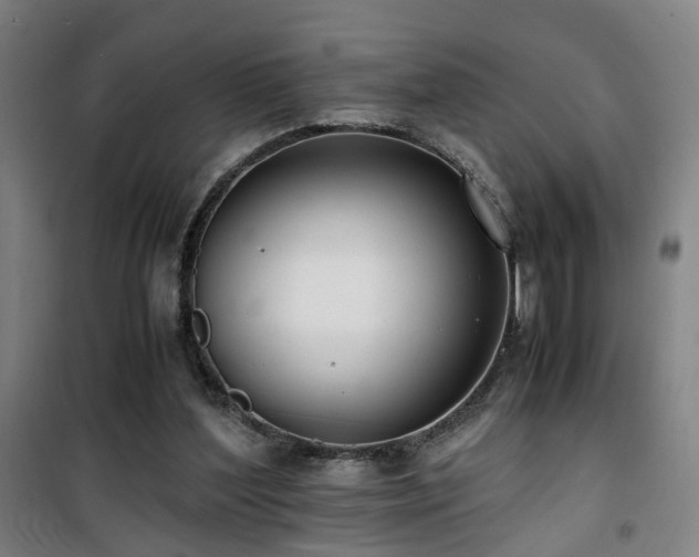 X0000101660204200807101302