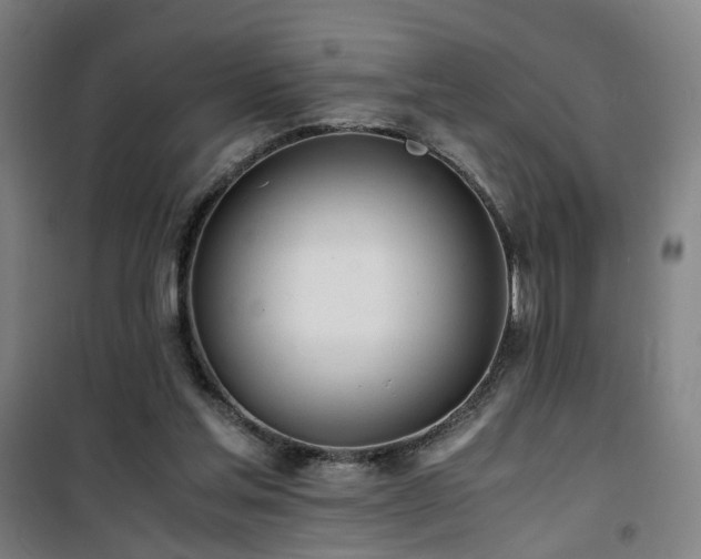 X0000101660205200807101302