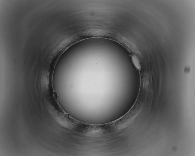 X0000101660206200807101302