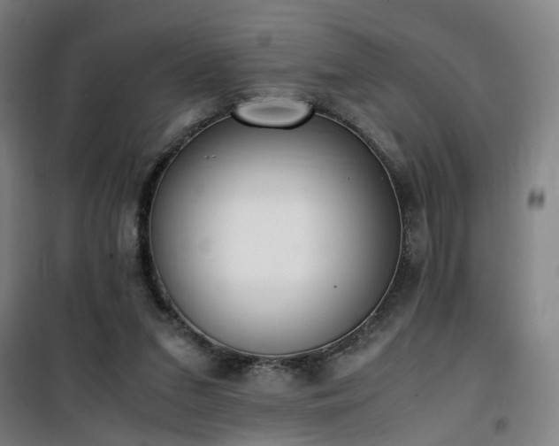 X0000101660207200807101302