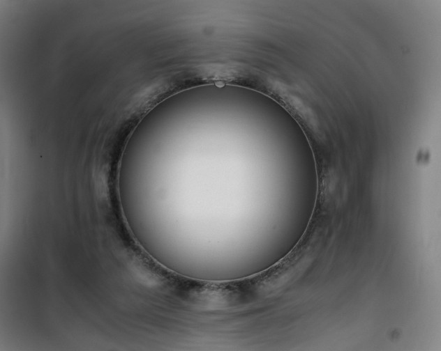 X0000101660209200807101302