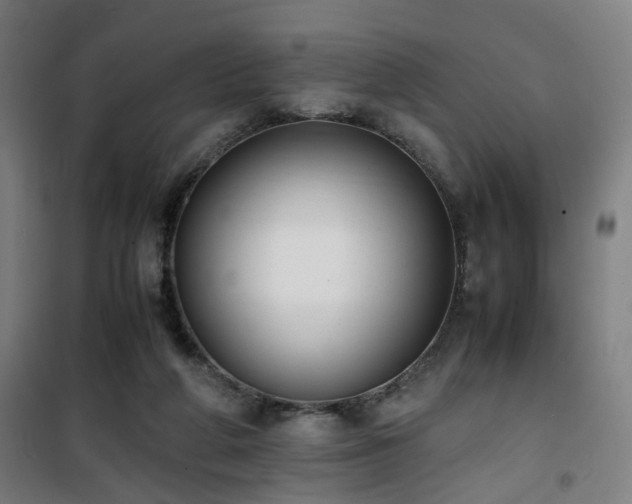 X0000101660210200807101302