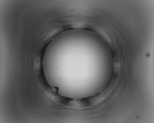 X0000101660211200807101302