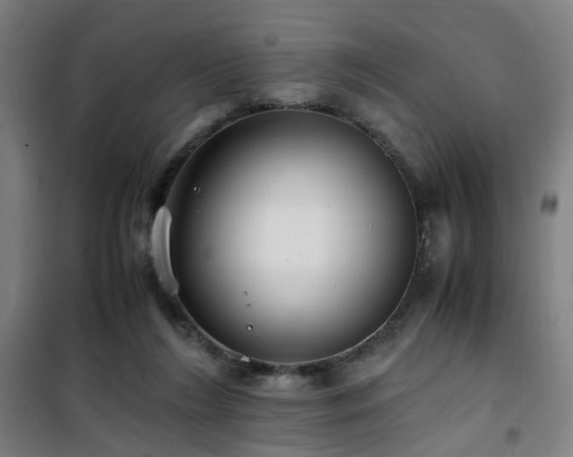 X0000101660212200807101302