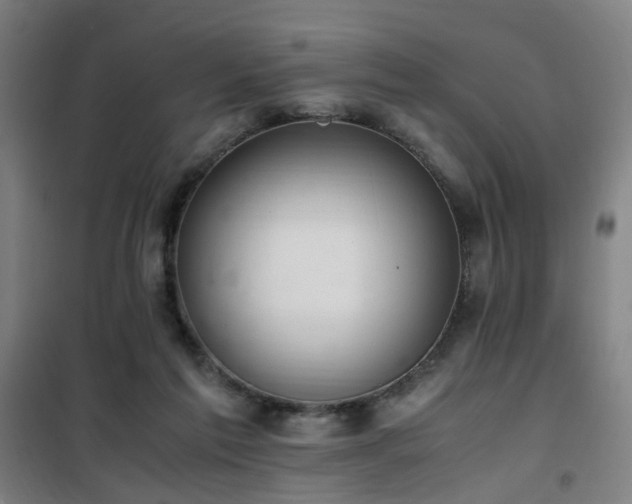 X0000101660213200807101302