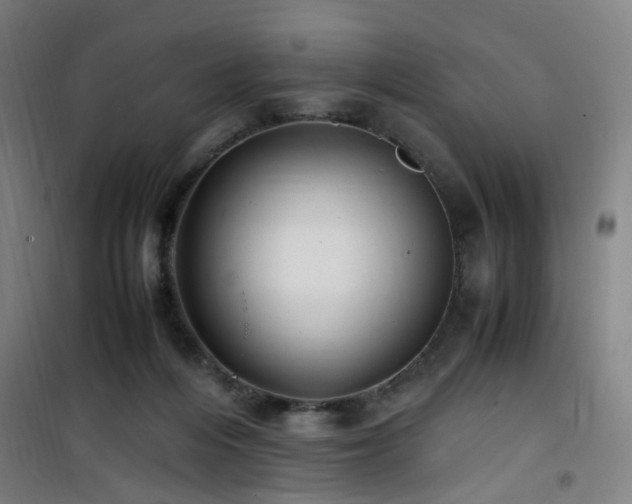 X0000101660216200807101302