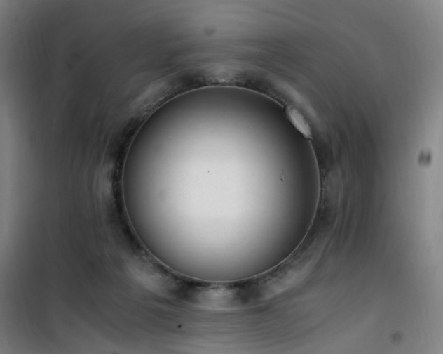 X0000101660217200807101302