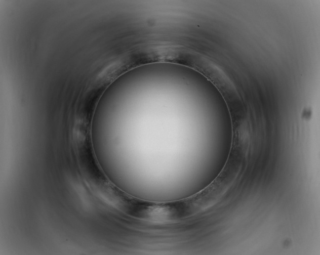 X0000101660218200807101302