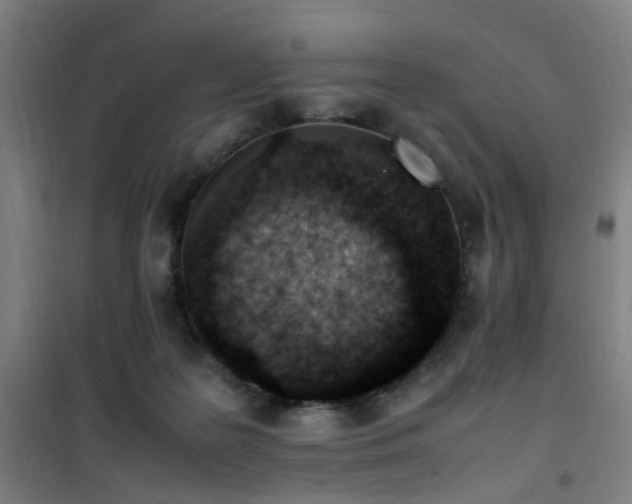 X0000101660219200807101302