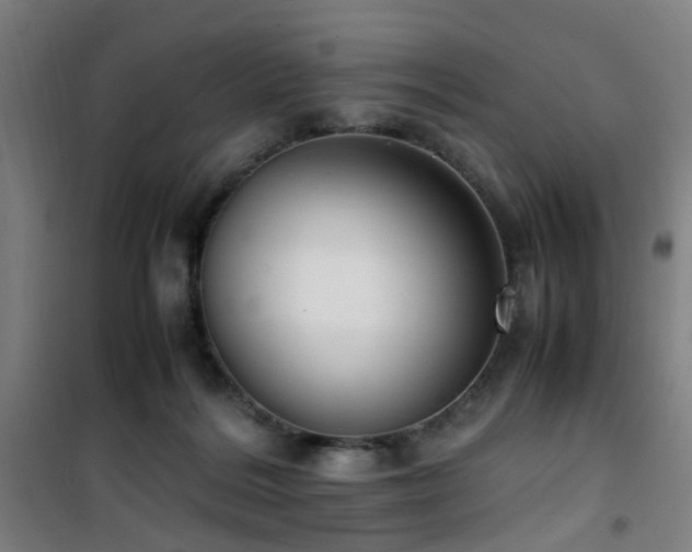 X0000101660220200807101302