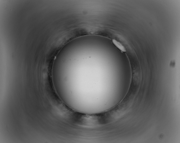 X0000101660221200807101302