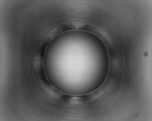 X0000101660222200807101302