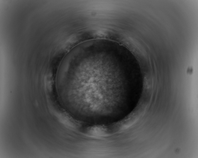 X0000101660223200807101302