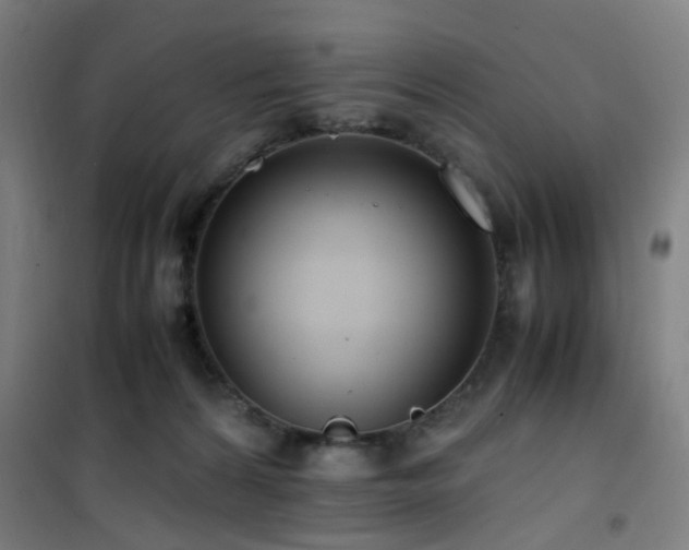 X0000101660224200807101302