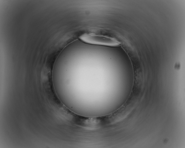 X0000101660225200807101301