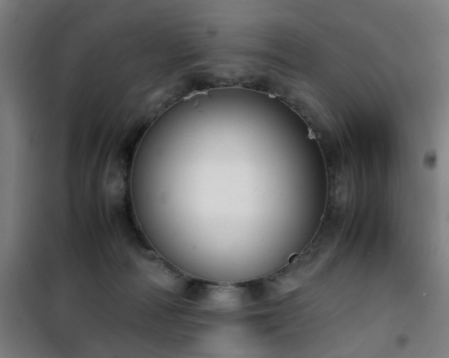 X0000101660226200807101301