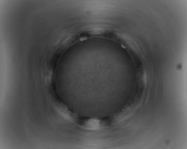 X0000101660227200807101301