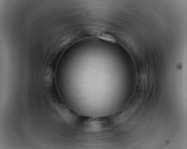 X0000101660228200807101301