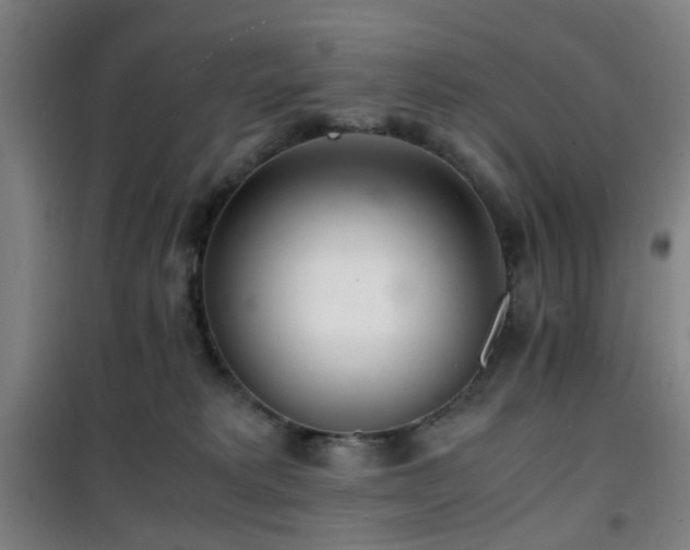 X0000101660229200807101301