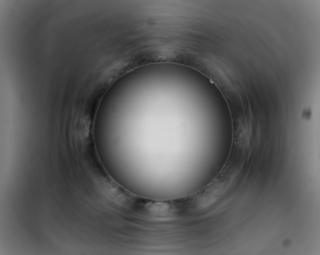 X0000101660230200807101301