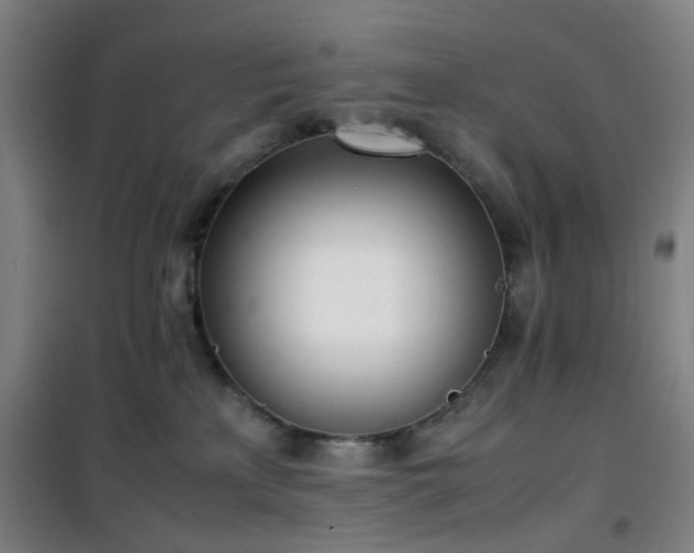 X0000101660233200807101301