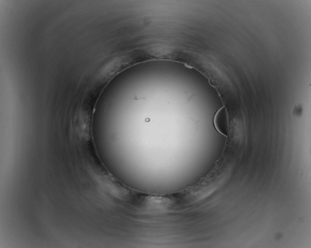 X0000101660234200807101301