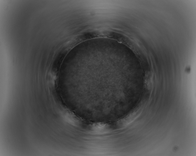 X0000101660235200807101301