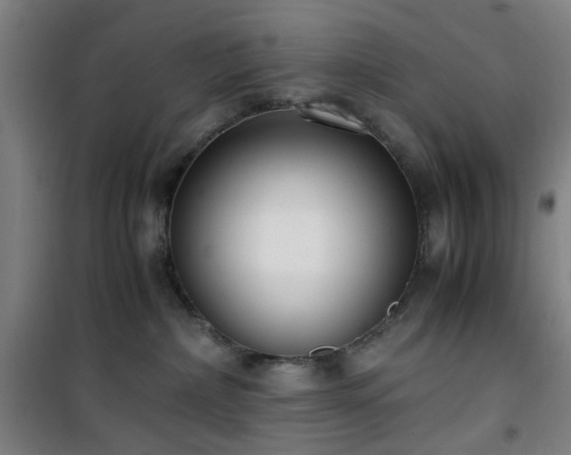 X0000101660236200807101301