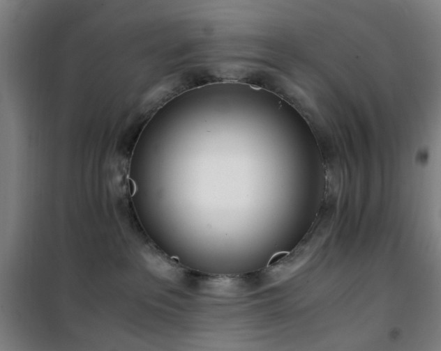 X0000101660237200807101301