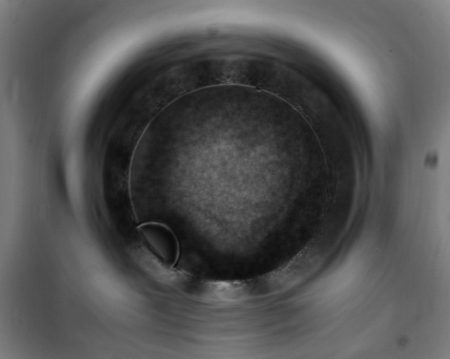 X0000101660239200807101301