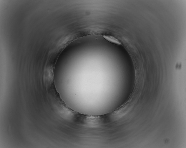 X0000101660240200807101301