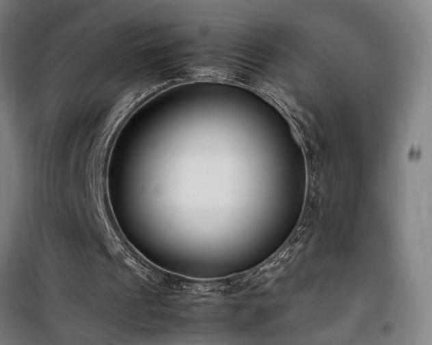 X0000101660241200807101300