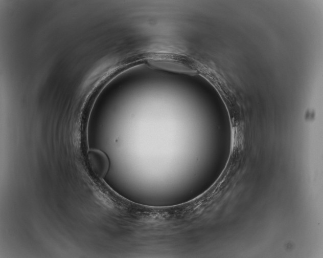 X0000101660243200807101300