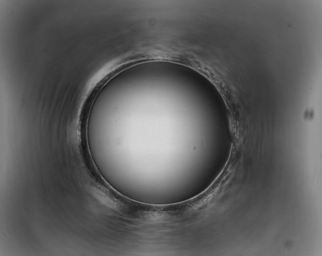 X0000101660246200807101301