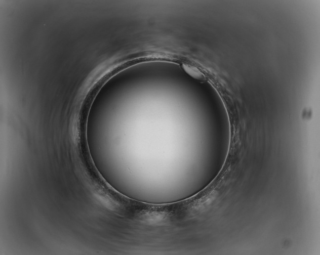 X0000101660247200807101301